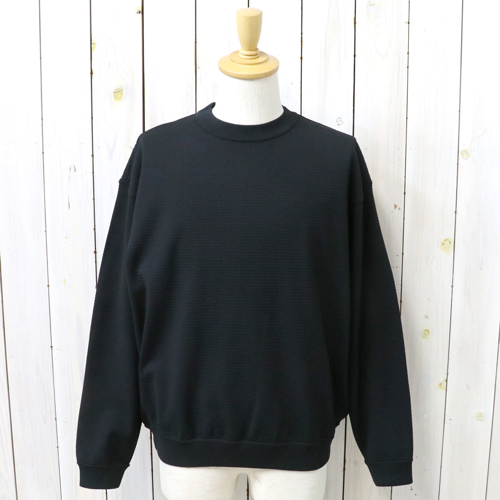 THE NORTH FACE : L/S Ripple Knit Crew (ブラック)