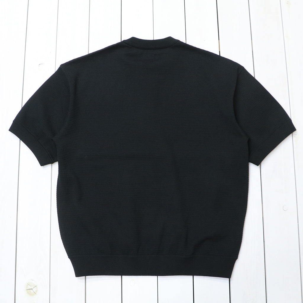 THE NORTH FACE : S/S Ripple Knit Crew (ブラック) – Reggieshop