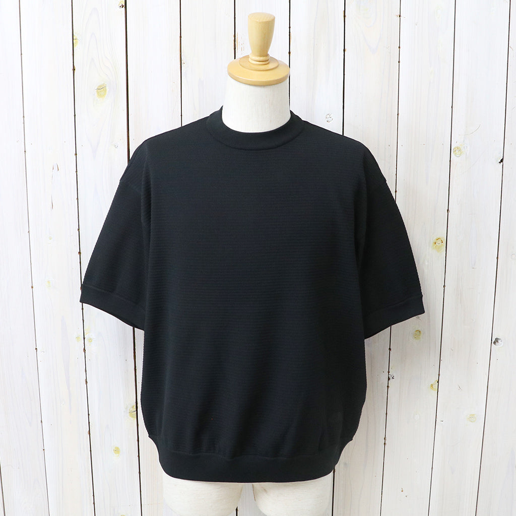 THE NORTH FACE : S/S Ripple Knit Crew (ブラック)