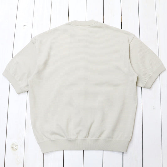 THE NORTH FACE : S/S Ripple Knit Crew (フォッシルアイボリー)