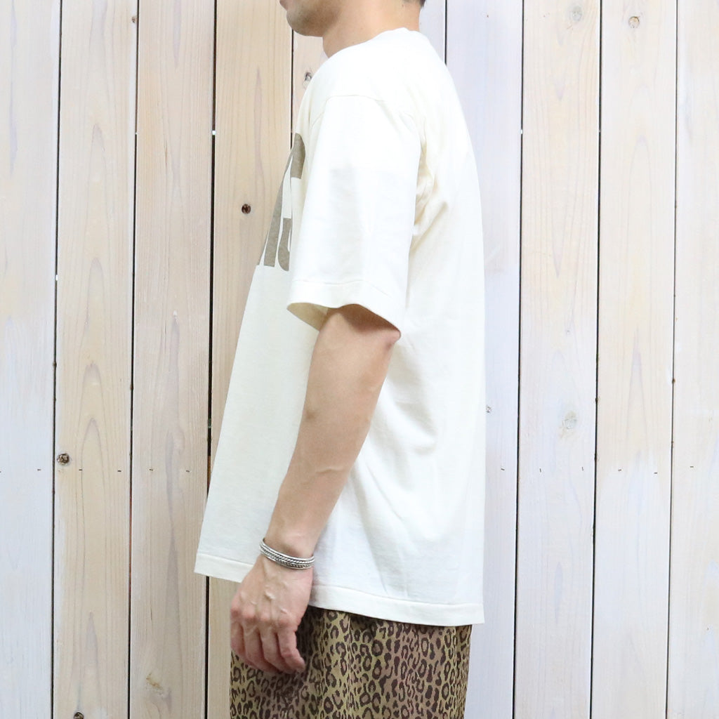 UNDYED : 30/-PV PT-T(BROOKS) (RW2)
