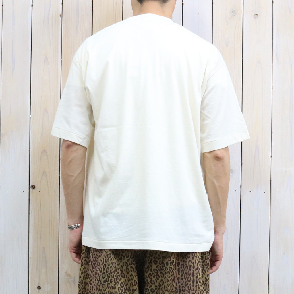UNDYED : 30/-PV PT-T(BROOKS) (RW2)