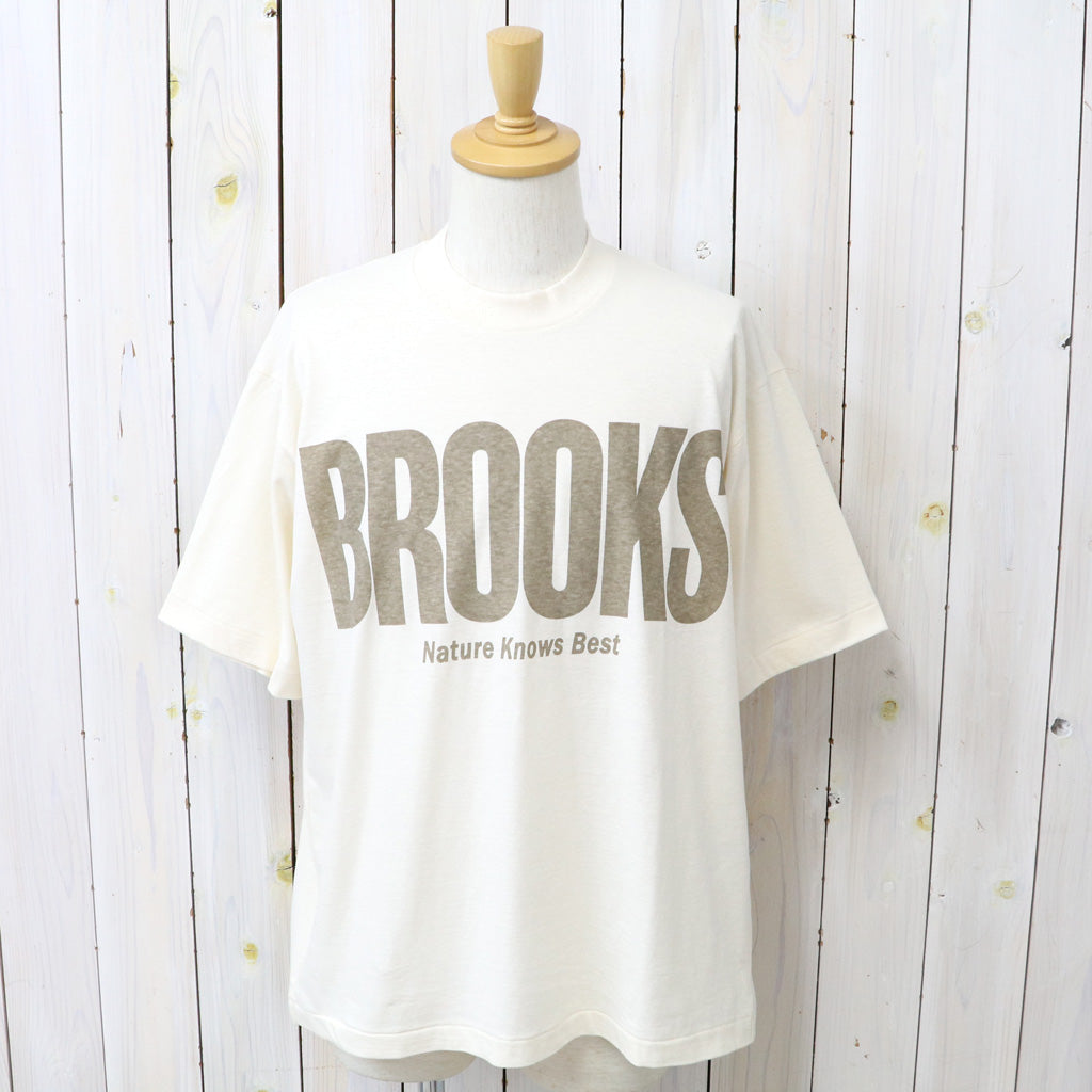UNDYED : 30/-PV PT-T(BROOKS) (RW2)