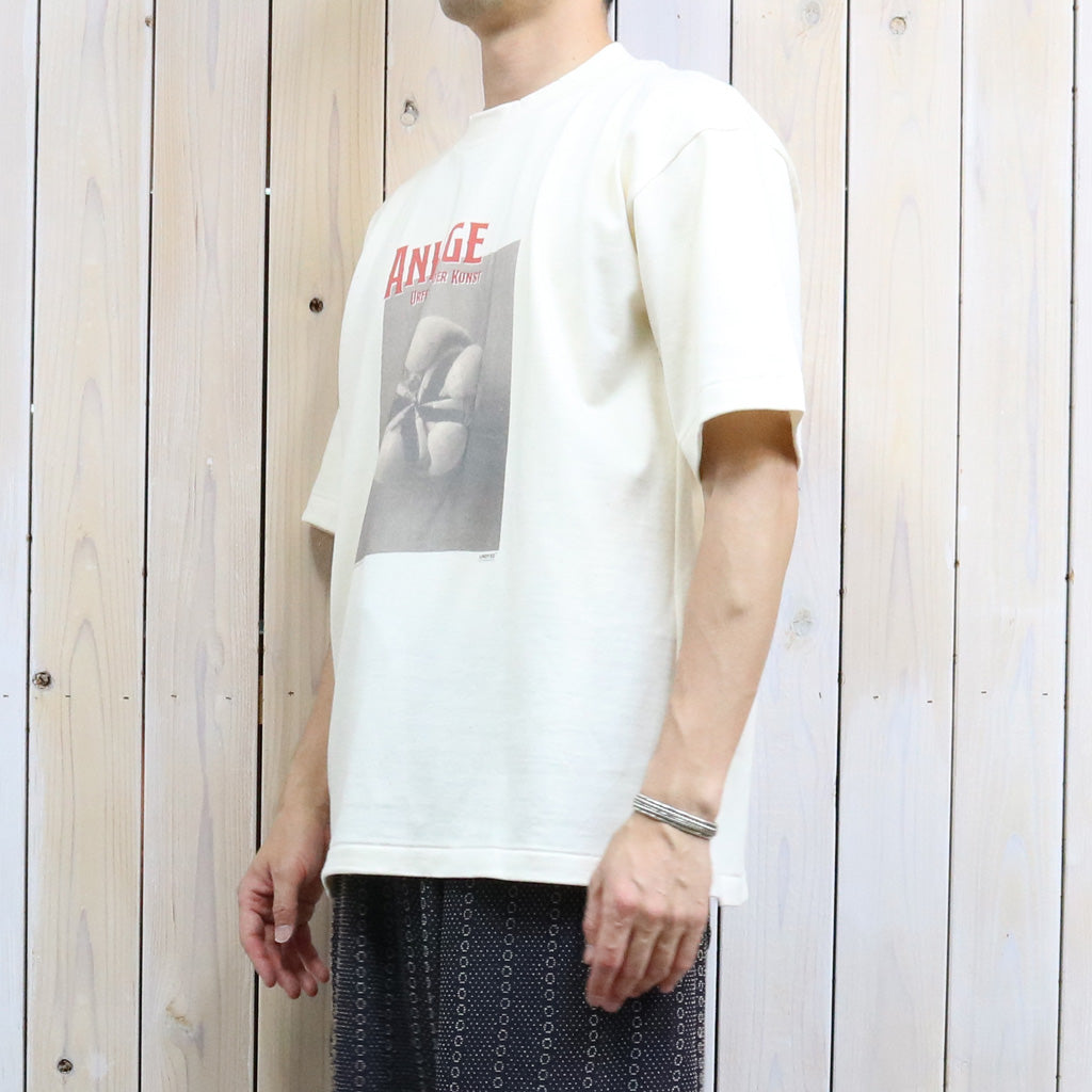 UNDYED : 30/2 Karl Blossfeldt PT-T(ANLAGE) (RW)