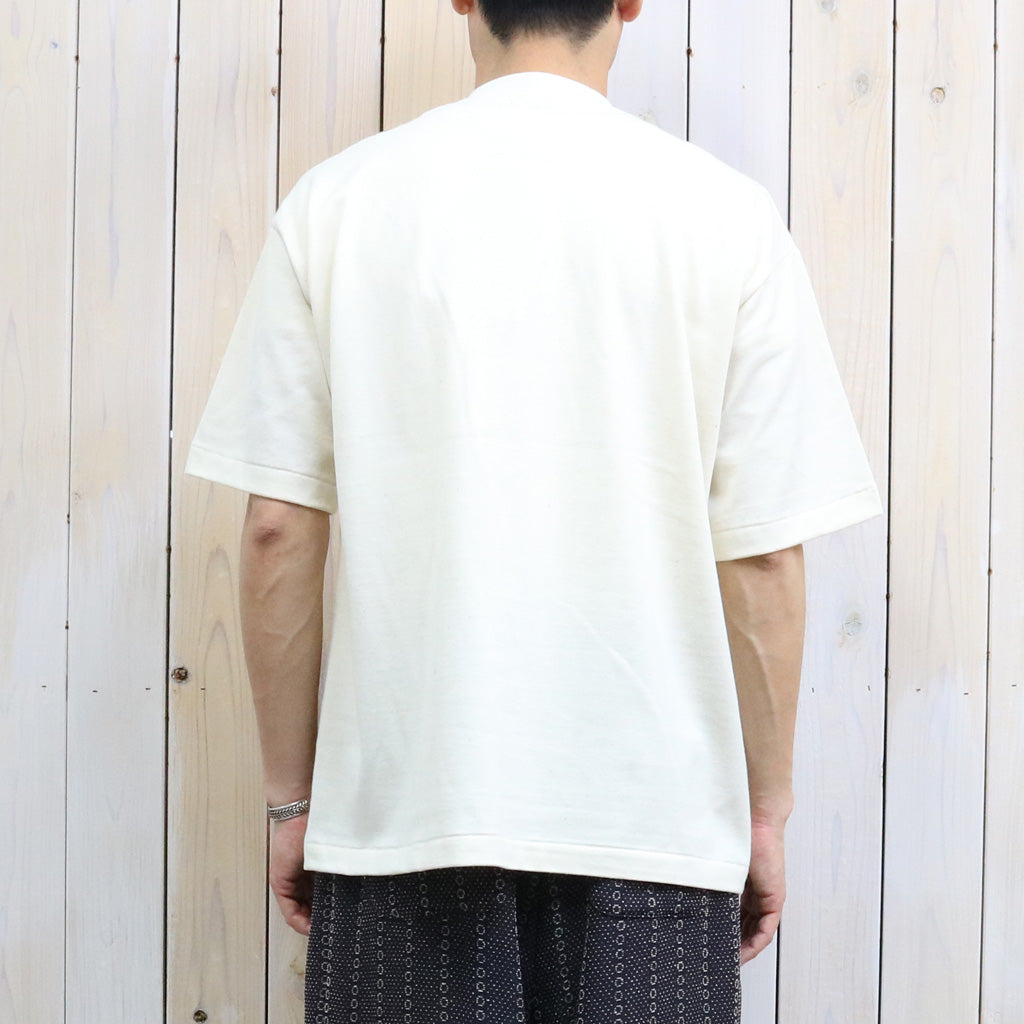 UNDYED : 30/2 Karl Blossfeldt PT-T(ANLAGE) (RW)