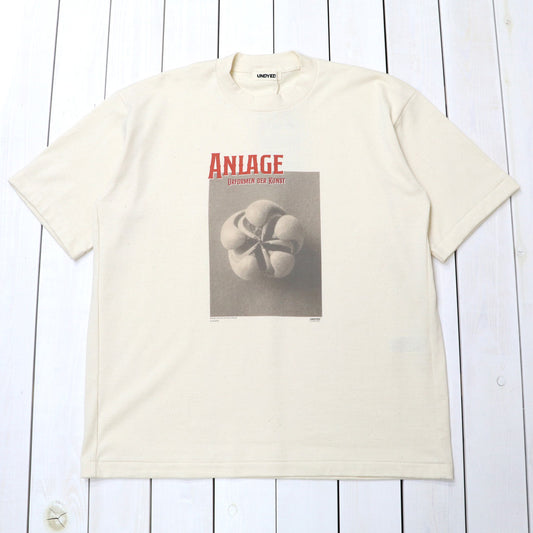 UNDYED : 30/2 Karl Blossfeldt PT-T(ANLAGE) (RW)