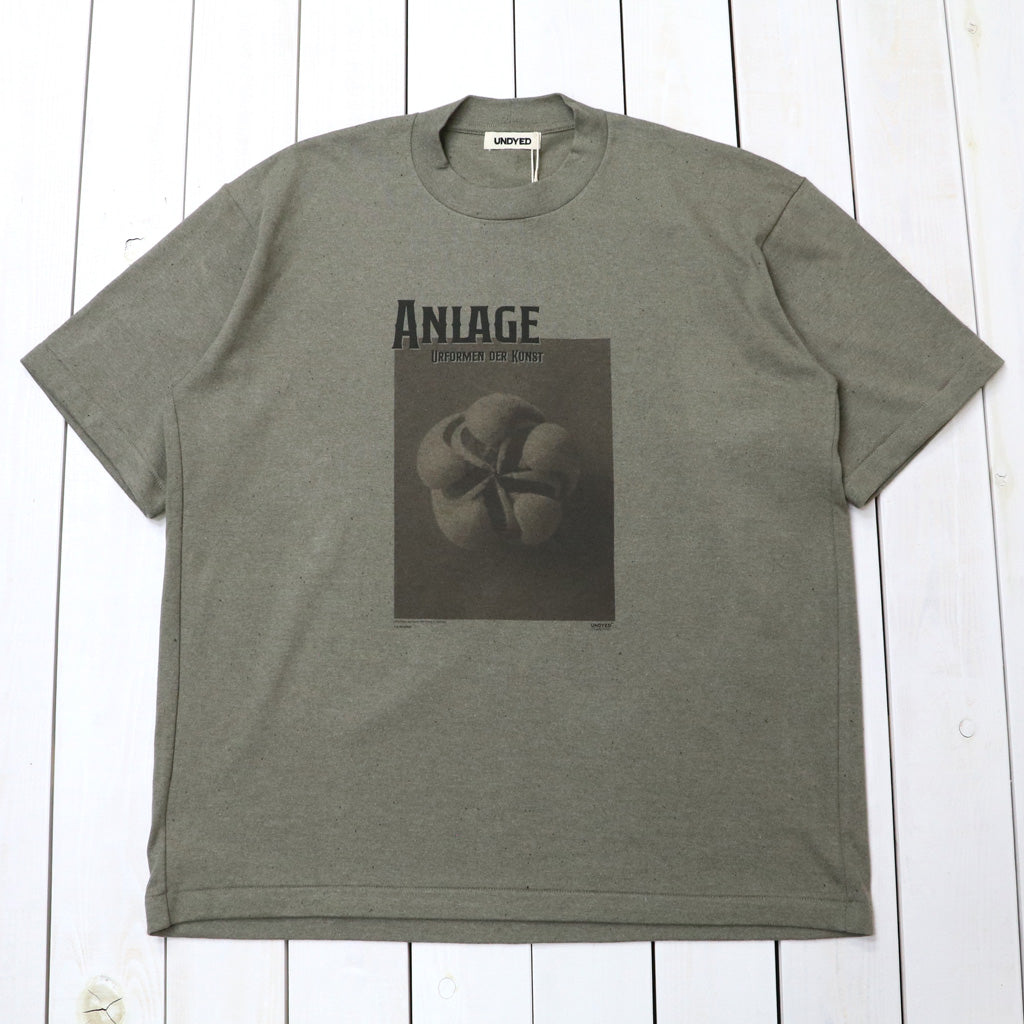 UNDYED : 30/2 Karl Blossfeldt PT-T(ANLAGE) (KH)