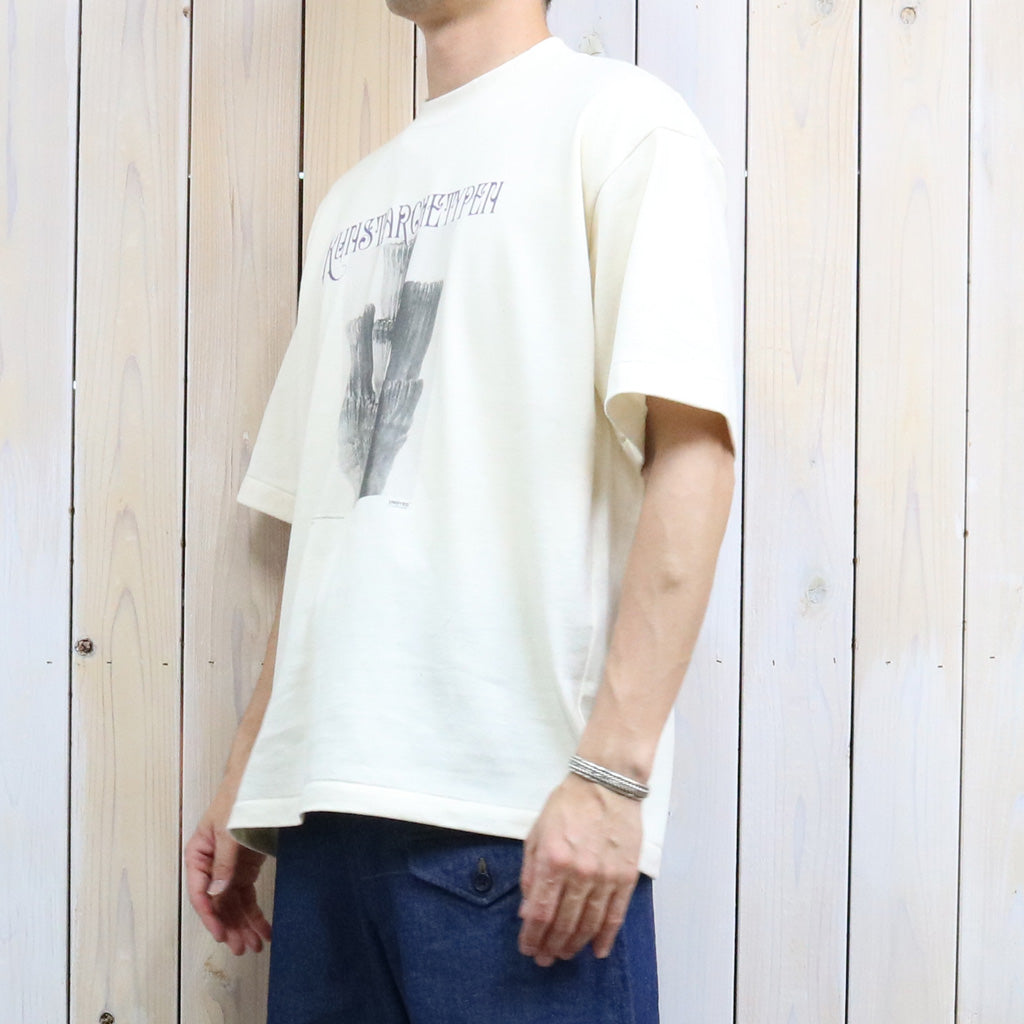 UNDYED : 30/2 Karl Blossfeldt PT-T(KUNSTAR) (RW)