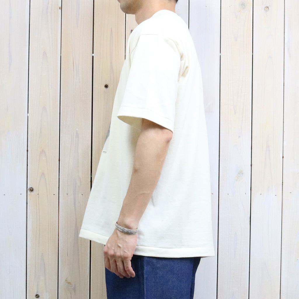 UNDYED : 30/2 Karl Blossfeldt PT-T(KUNSTAR) (RW)