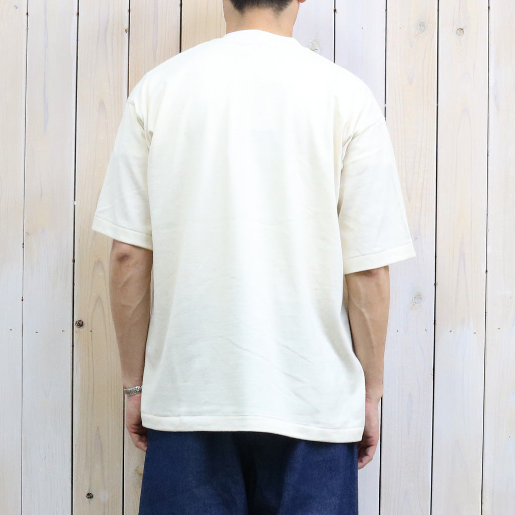 UNDYED : 30/2 Karl Blossfeldt PT-T(KUNSTAR) (RW)