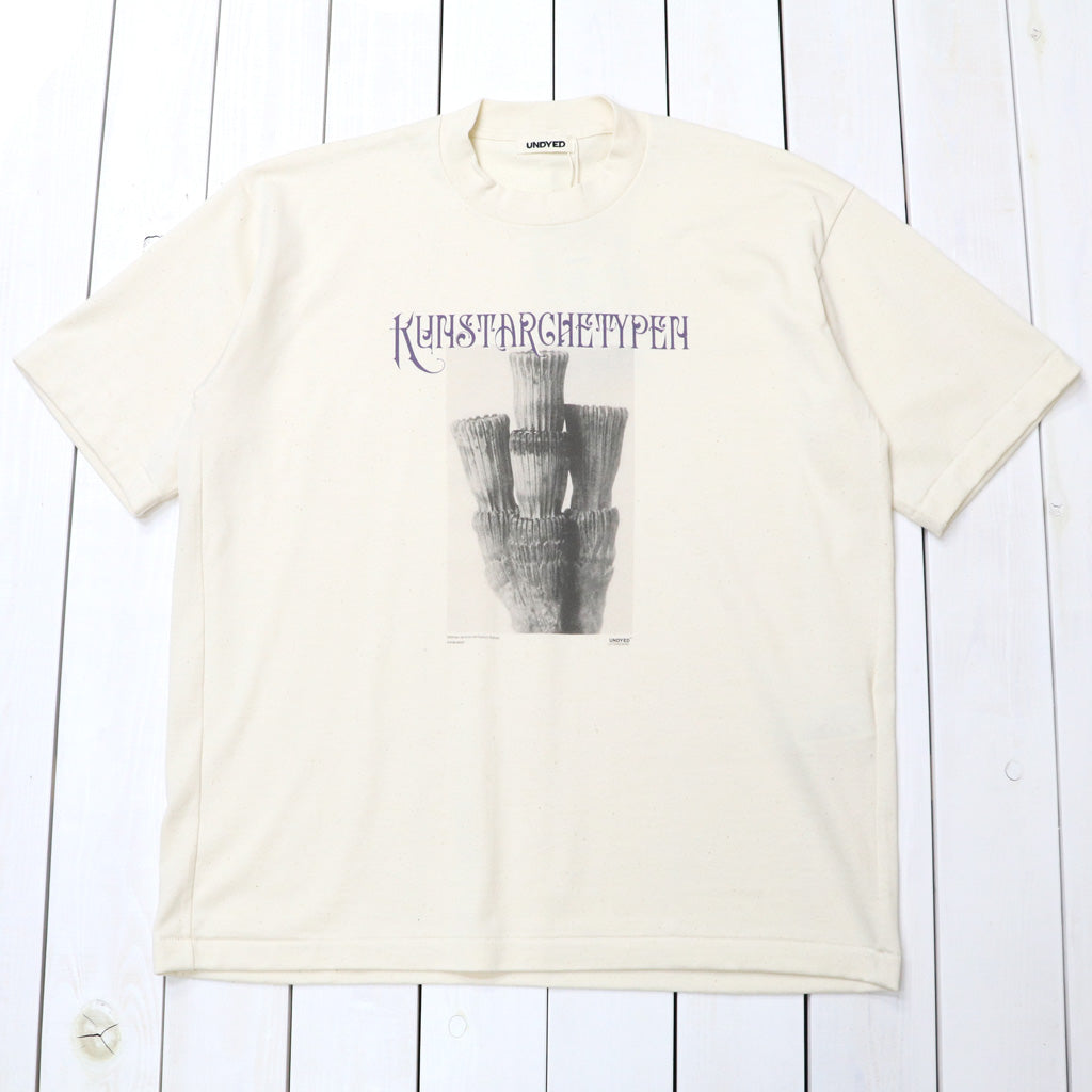 UNDYED : 30/2 Karl Blossfeldt PT-T(KUNSTAR) (RW)