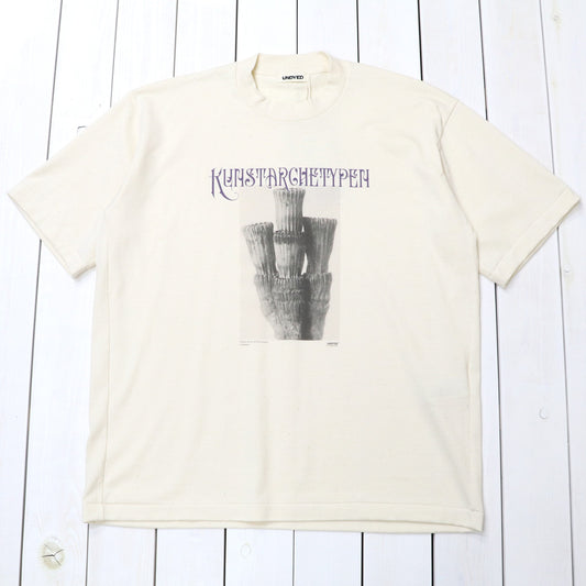 UNDYED : 30/2 Karl Blossfeldt PT-T(KUNSTAR) (RW)