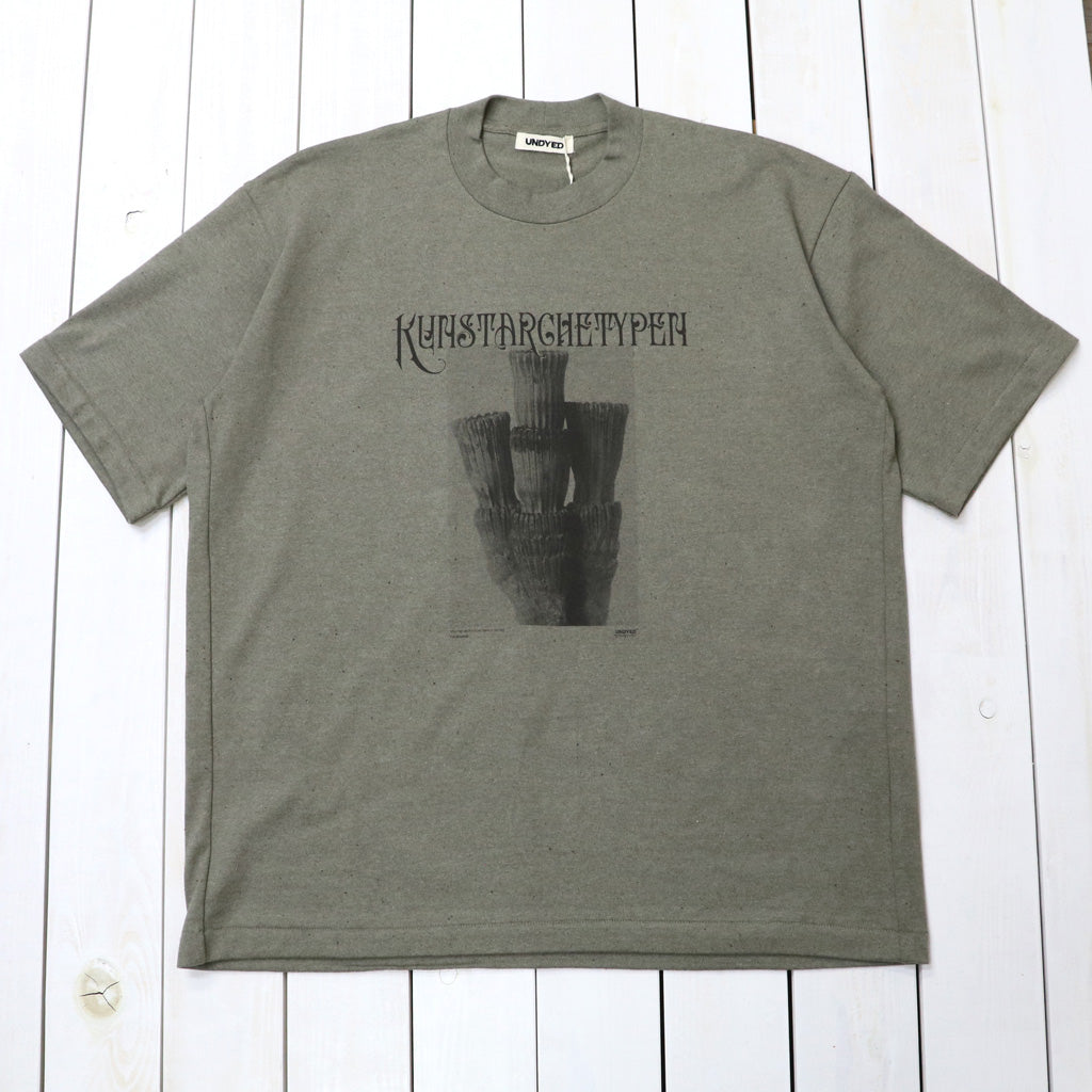 UNDYED : 30/2 Karl Blossfeldt PT-T(KUNSTAR) (KH)