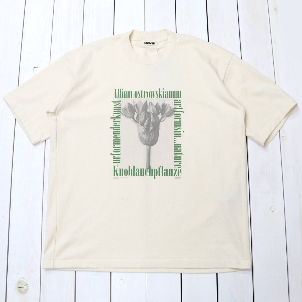 UNDYED : 30/2 Karl Blossfeldt PT-T(ALLIUM) (RW)