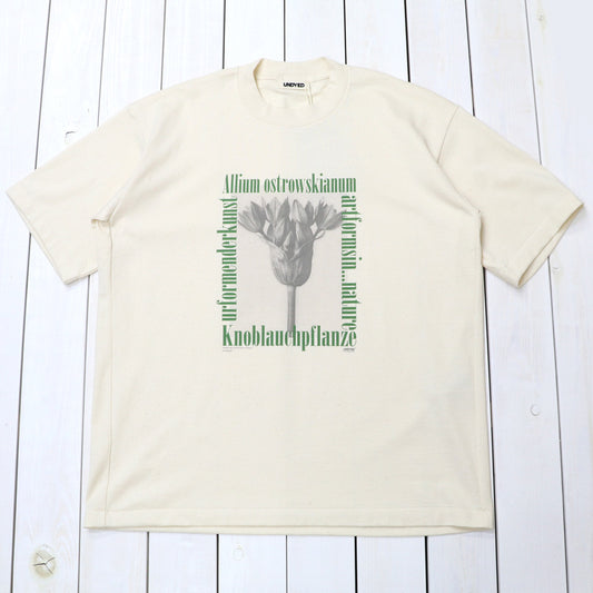 UNDYED : 30/2 Karl Blossfeldt PT-T(ALLIUM) (RW)