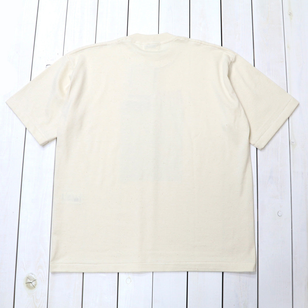 UNDYED : 30/2 Karl Blossfeldt PT-T(ALLIUM) (RW)