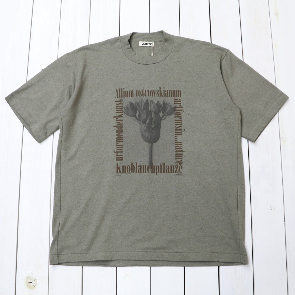 UNDYED : 30/2 Karl Blossfeldt PT-T(ALLIUM) (KH)