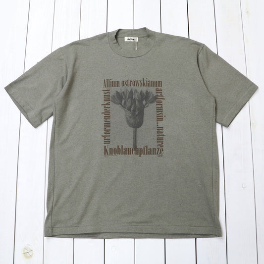 UNDYED : 30/2 Karl Blossfeldt PT-T(ALLIUM) (KH)