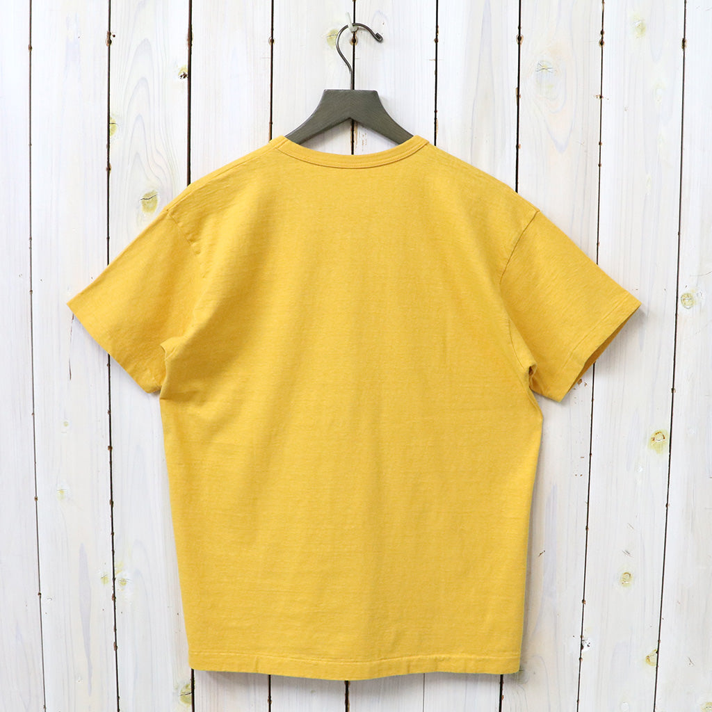 WAREHOUSE : Lot 4064 ANOKA-RAMSEY (イエロー)