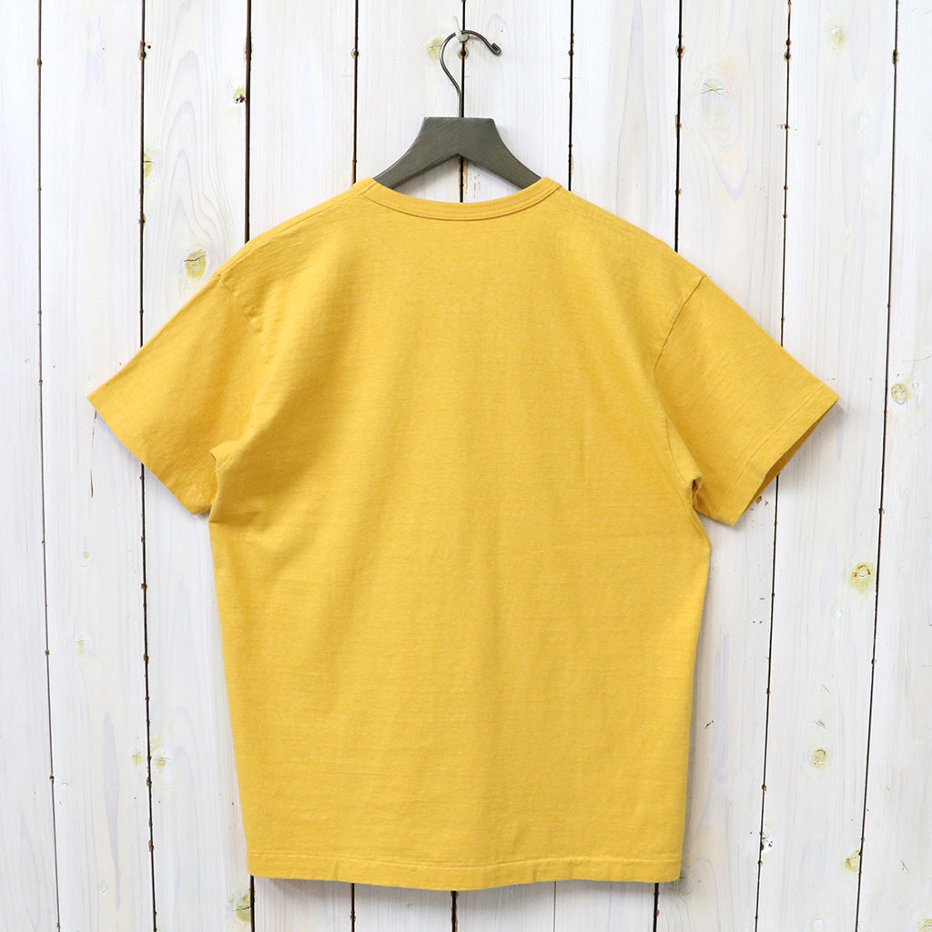 WAREHOUSE : Lot 4064 PARK VIEW (イエロー)