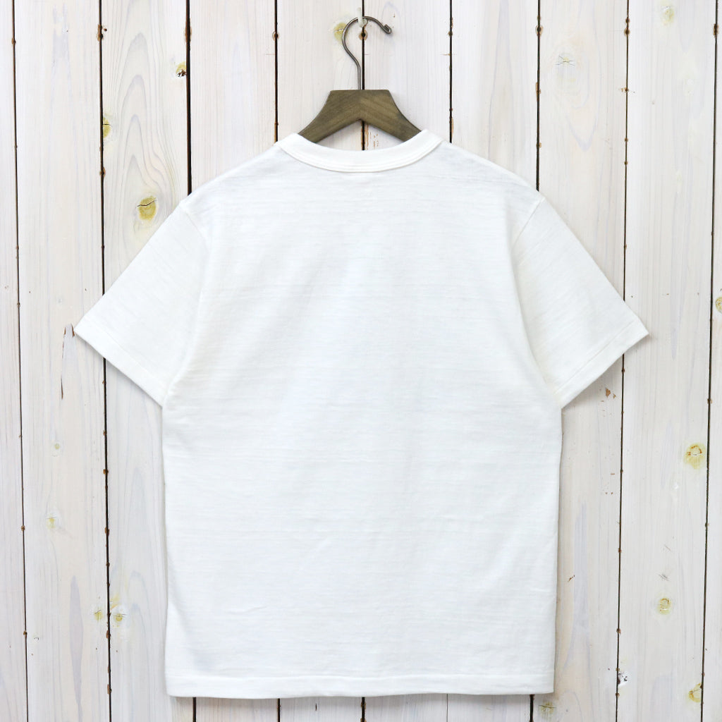 WAREHOUSE : Lot 4601 COLUMBIA ARMY AIR BASE (オフ)