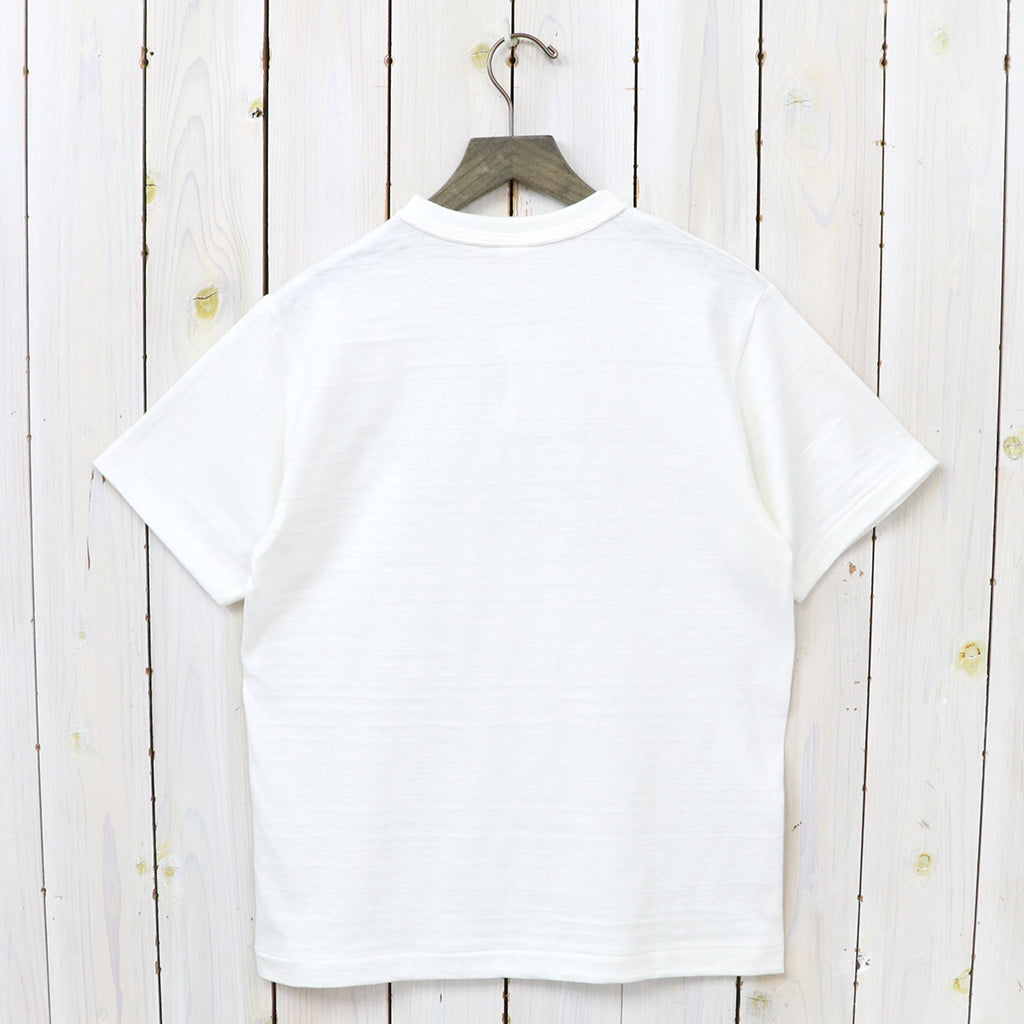 WAREHOUSE : Lot 4601 ROLLA (オフ)