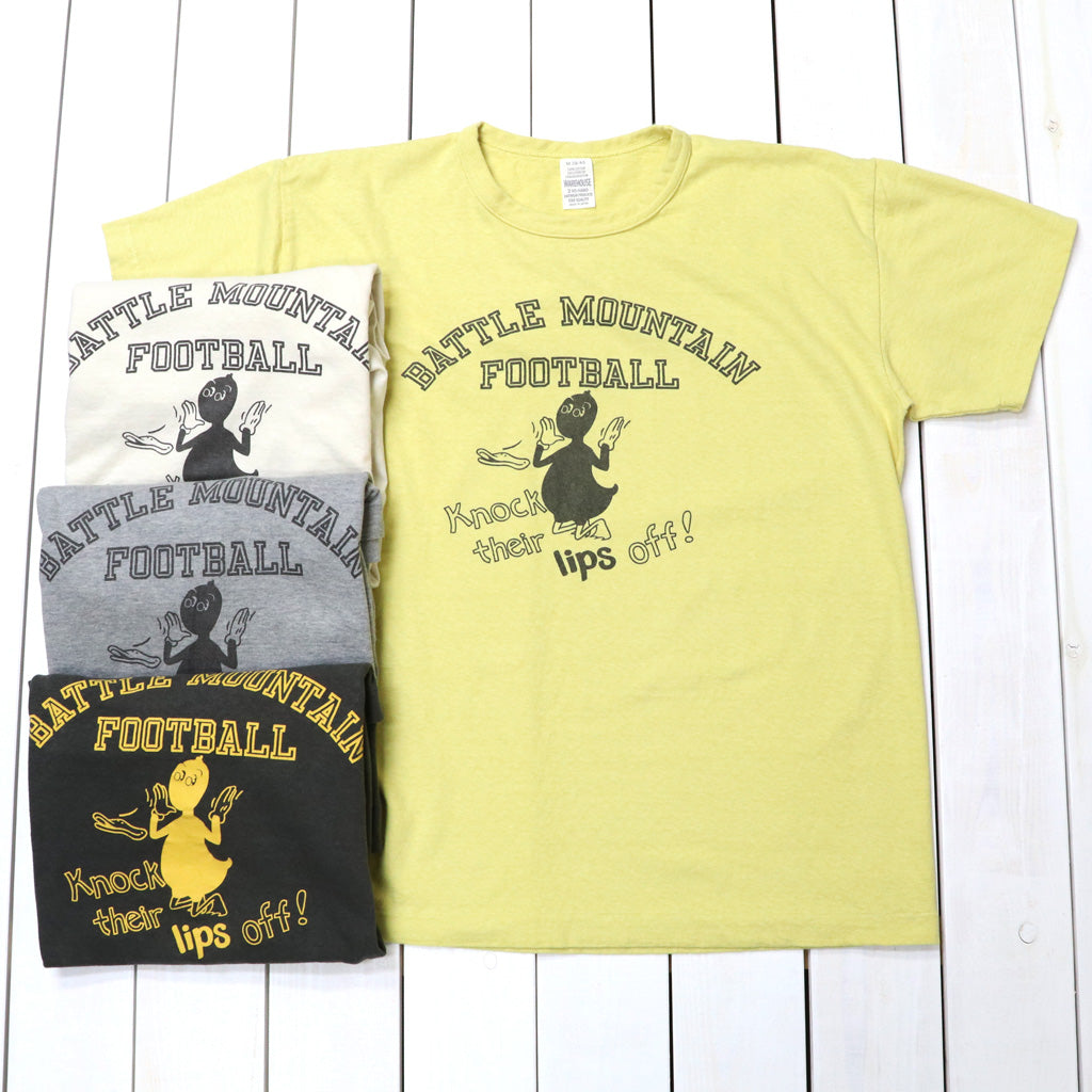 WAREHOUSE : Lot 4064 BATTLE MOUNTAIN