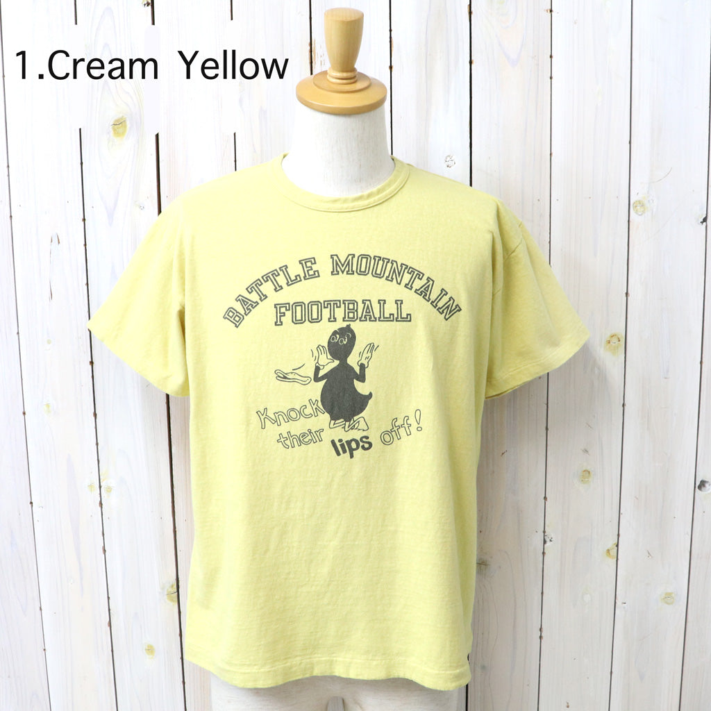 WAREHOUSE : Lot 4064 BATTLE MOUNTAIN