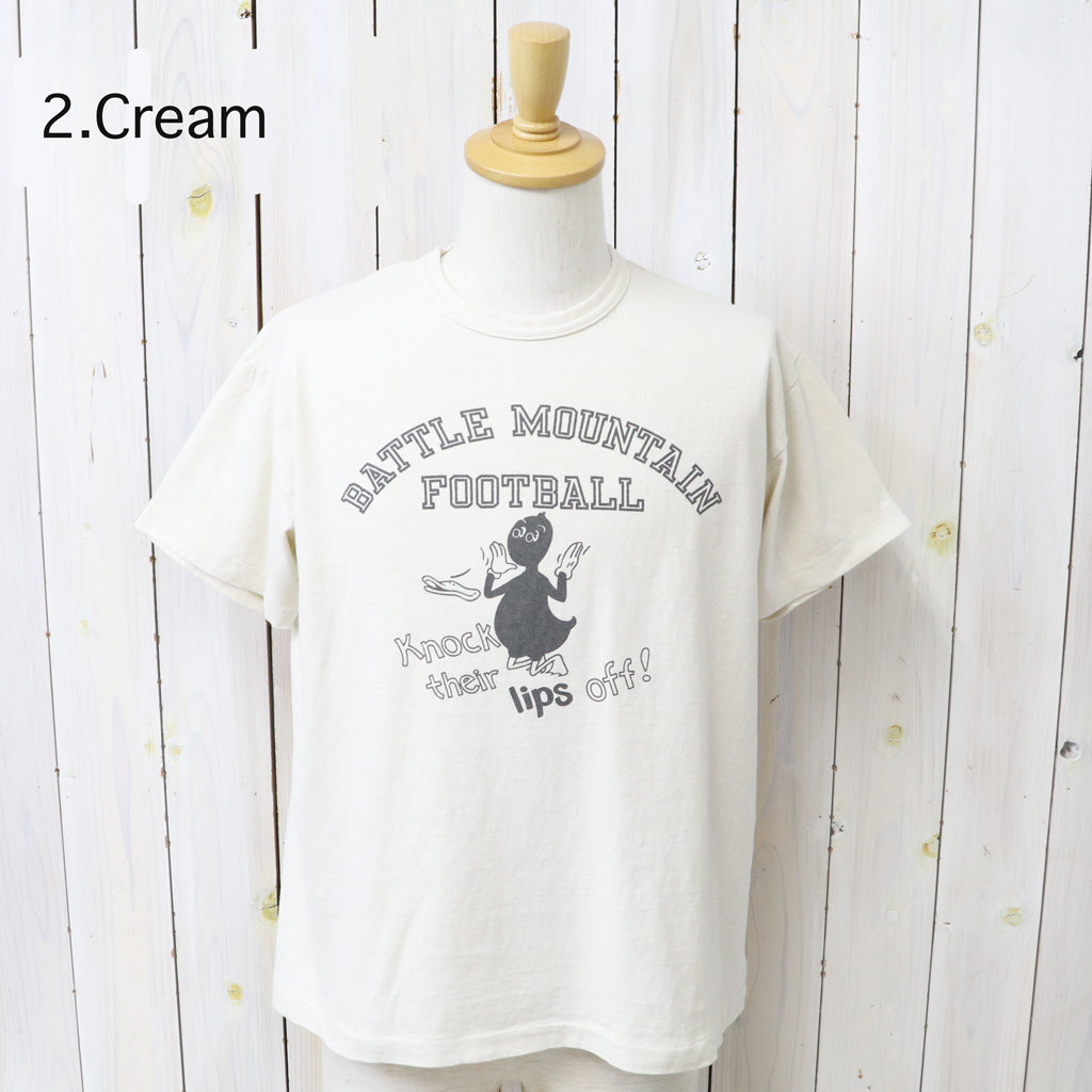 WAREHOUSE : Lot 4064 BATTLE MOUNTAIN