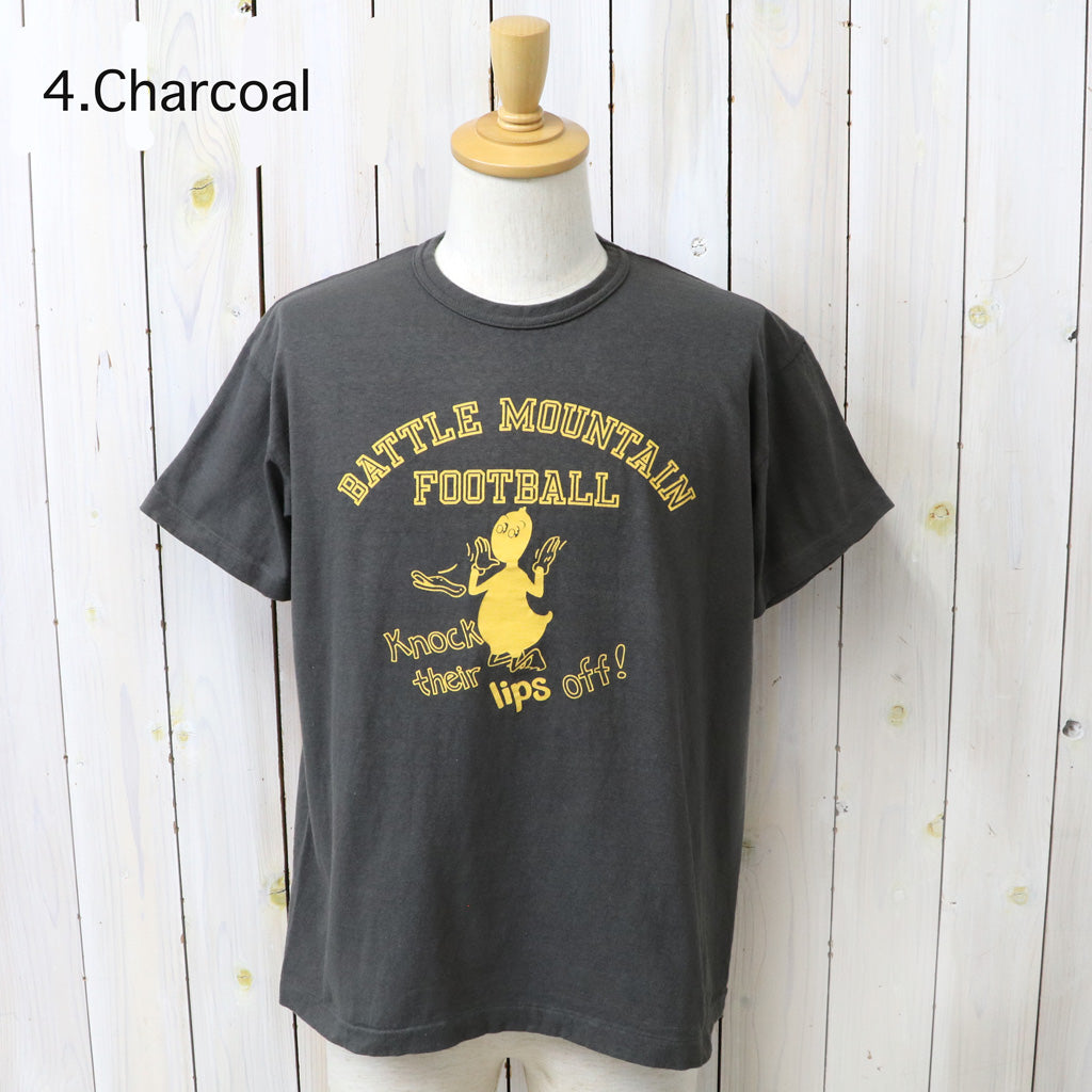 WAREHOUSE : Lot 4064 BATTLE MOUNTAIN