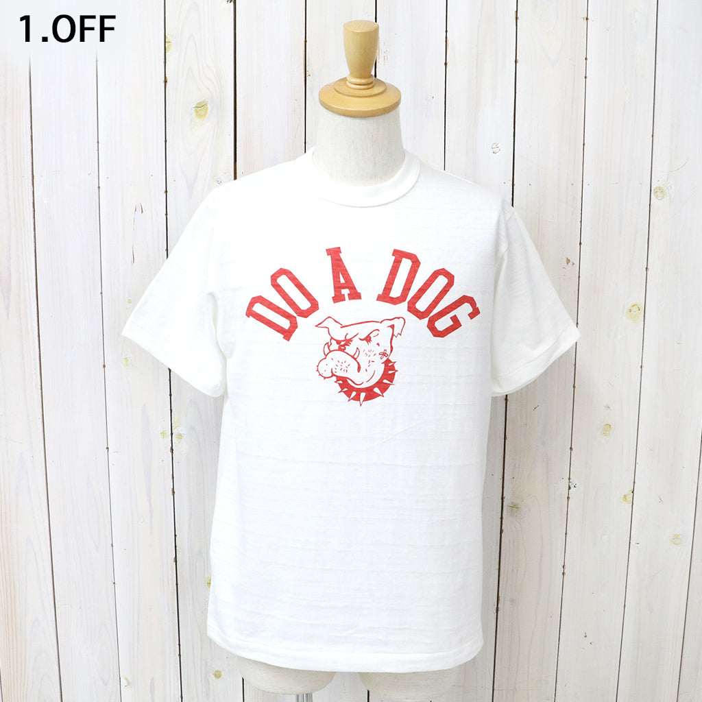 WAREHOUSE : Lot 4601 DO A DOG