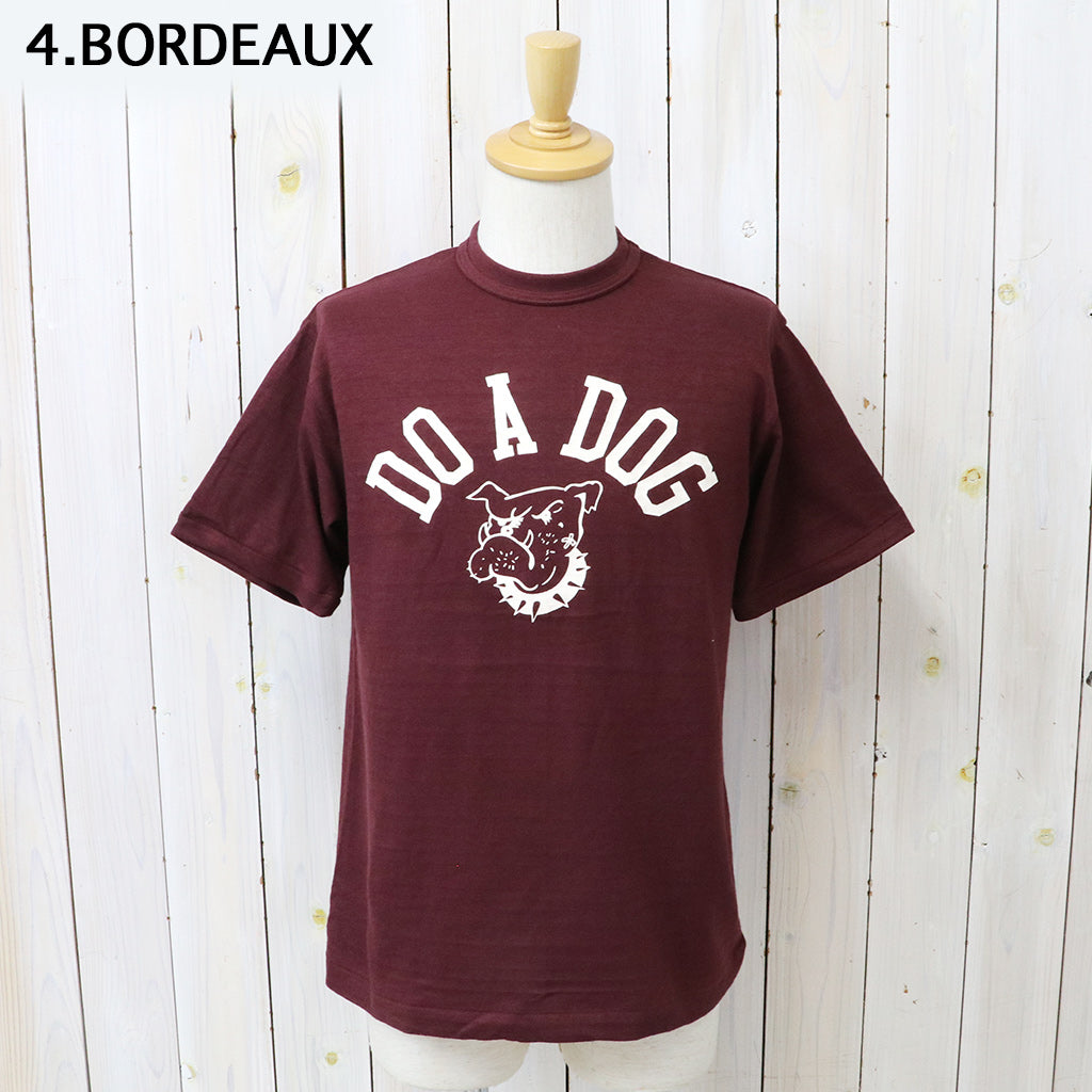 WAREHOUSE : Lot 4601 DO A DOG