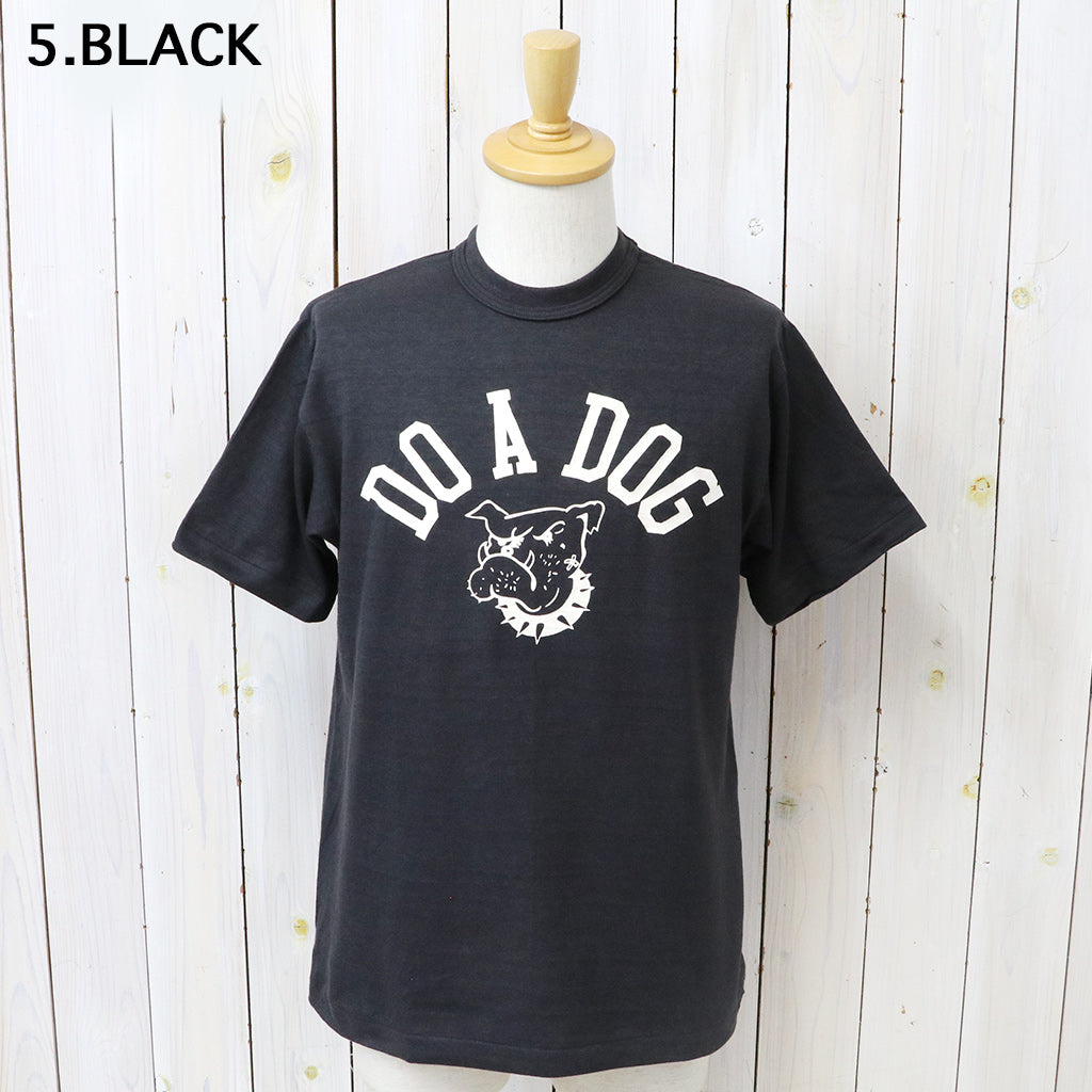 WAREHOUSE : Lot 4601 DO A DOG