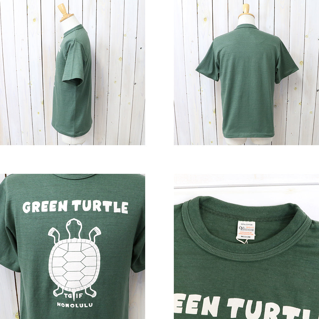 WAREHOUSE : Lot 4601 GREEN TURTLE – Reggieshop