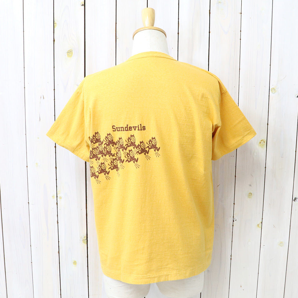 WAREHOUSE : Lot 4064 SUNDEVILS
