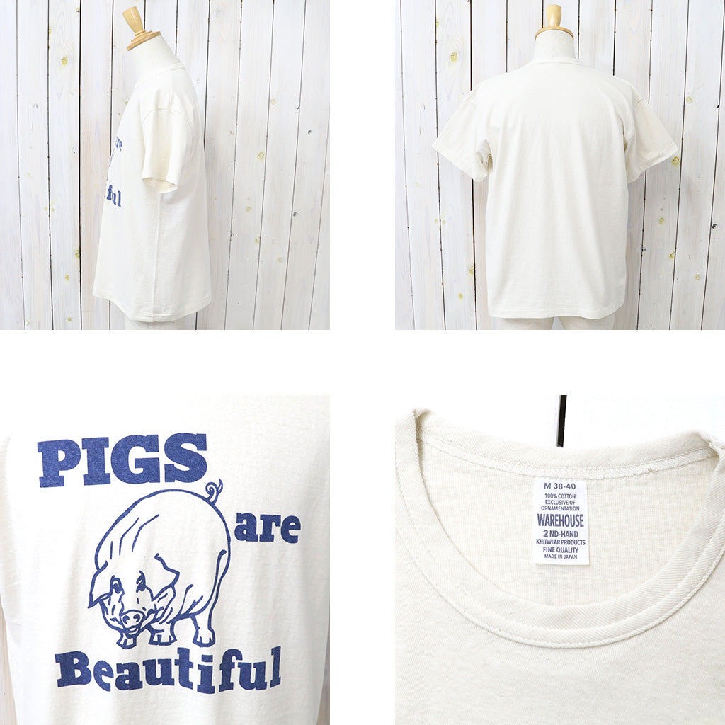 WAREHOUSE : Lot 4064  PIGS ARE BEAUTIFUL