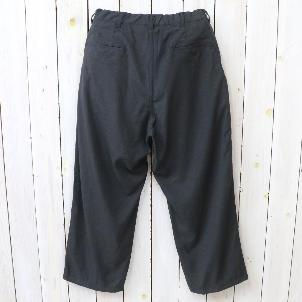 THE NORTH FACE PURPLE LABEL : Nylon Twill Wide Field Pants (Asphalt Gray)