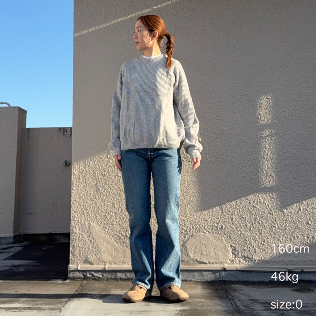 orSlow : 105 STANDARD SELVEDGE DENIM (2YEAR WASH) (01-1050-84)