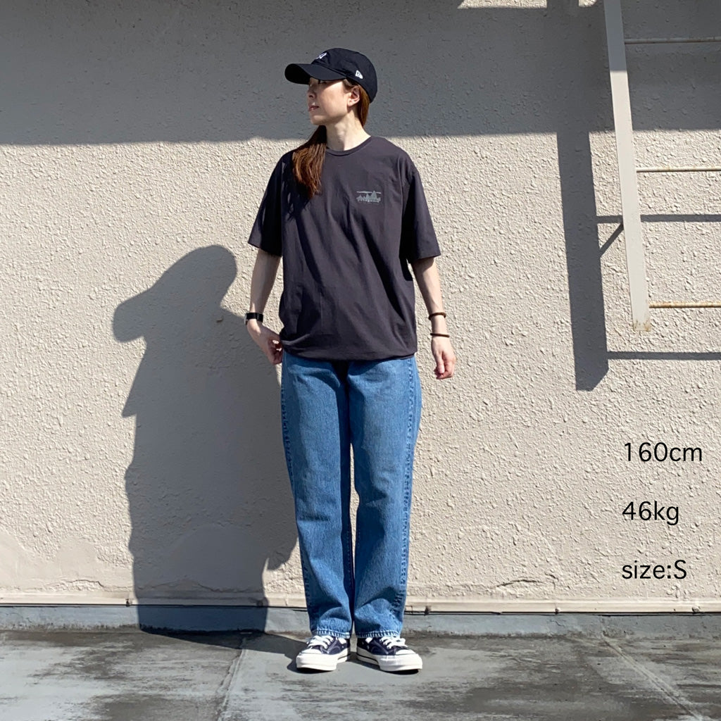 patagonia『M’s ’73 Skyline Organic T-Shirt』(Ink Black)