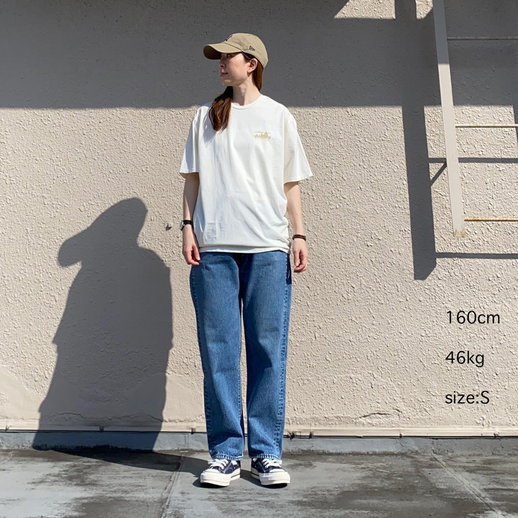 patagonia『M’s ’73 Skyline Organic T-Shirt』(Birch White)
