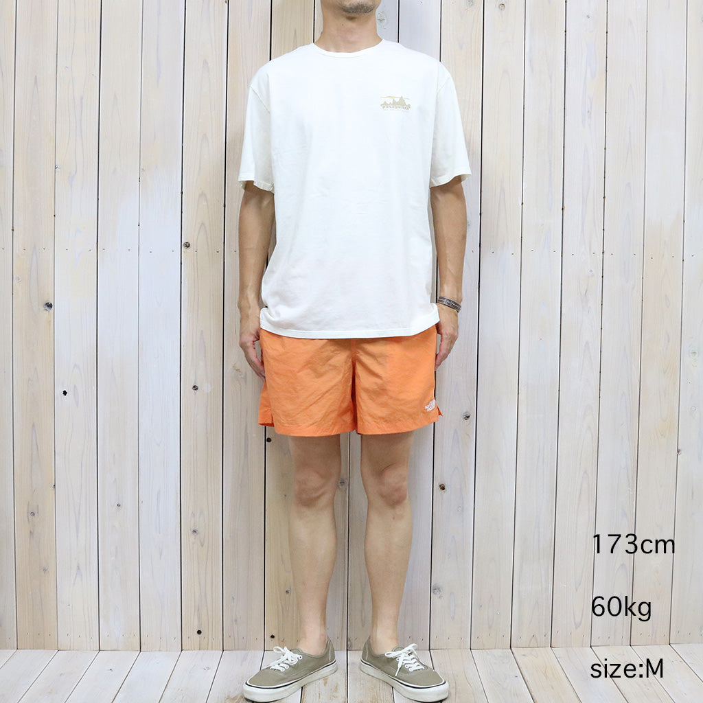 patagonia『M’s ’73 Skyline Organic T-Shirt』(Birch White)