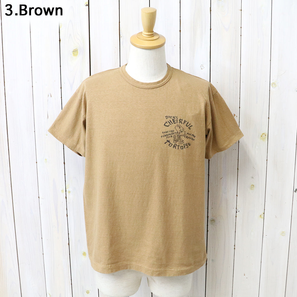 WAREHOUSE : Lot 4064 TORTOISE