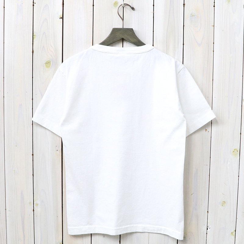 Champion : T1011 US T-SHIRT-C5-P301