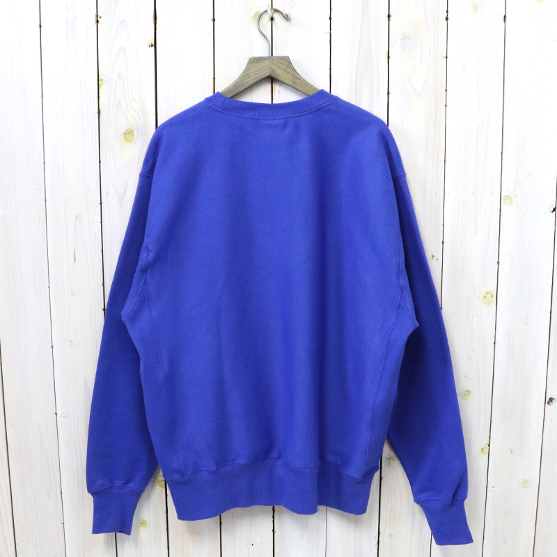 Champion : AIR FORCE FALCONS CHAMPION ARCH REVERSE WEAVE PULLOVER SWEATSHIRT (ROYAL)